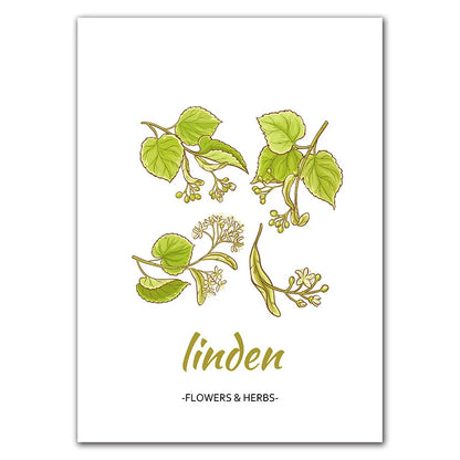 Affiche Botanique Herbes & Fleurs Nordiques – Déco Murale Cuisine & Salon
