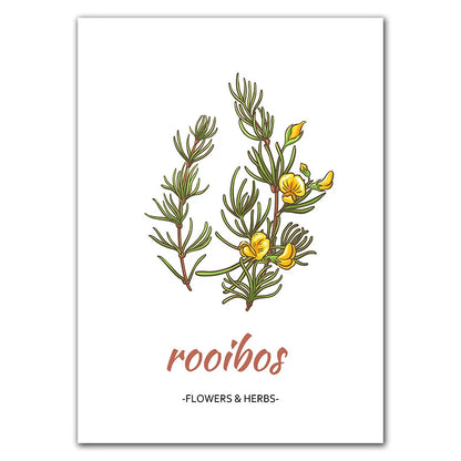 Affiche Botanique Herbes & Fleurs Nordiques – Déco Murale Cuisine & Salon