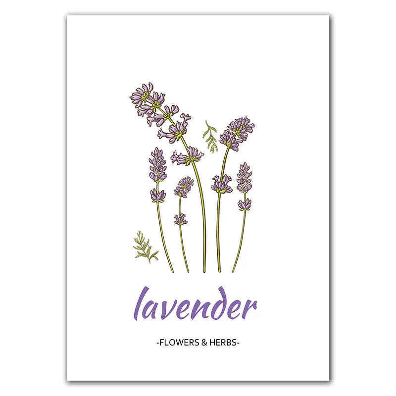 Affiche Botanique Herbes & Fleurs Nordiques – Déco Murale Cuisine & Salon