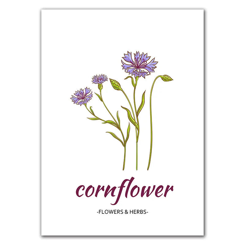Affiche Botanique Herbes & Fleurs Nordiques – Déco Murale Cuisine & Salon