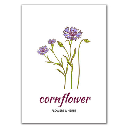 Affiche Botanique Herbes & Fleurs Nordiques – Déco Murale Cuisine & Salon