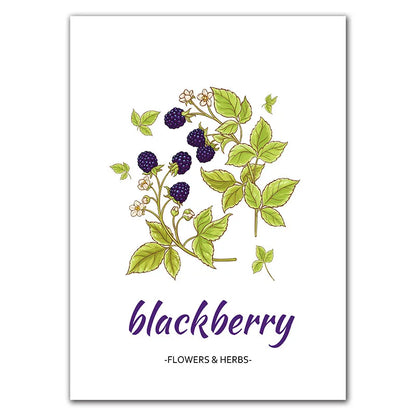Affiche Botanique Herbes & Fleurs Nordiques – Déco Murale Cuisine & Salon