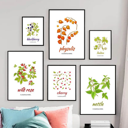 Affiche Botanique Herbes & Fleurs Nordiques – Déco Murale Cuisine & Salon